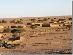 IMG_3103 (800x600) - Copie