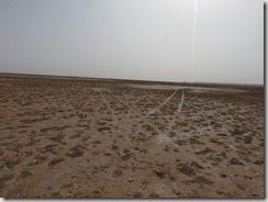 IMG_3214 (800x600) (2)