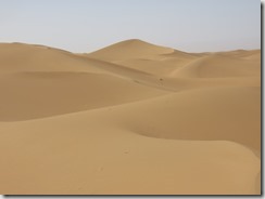 IMG_3439 (800x600) - Copie