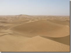 IMG_3440 (800x600) - Copie