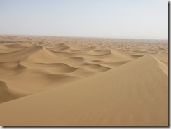 IMG_3442 (800x600) - Copie