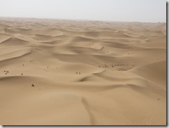 IMG_3443 (800x600) - Copie