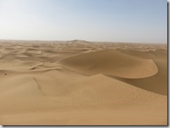 IMG_3450 (800x600) - Copie