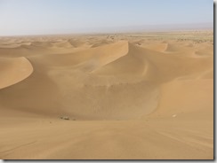 IMG_3453 (800x600) - Copie