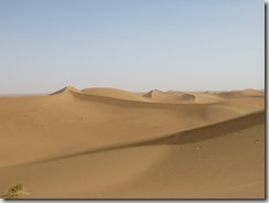 IMG_3455 (800x600) - Copie