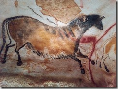 IMG_20170507_112642 (1024x768)