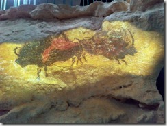 IMG_20170507_115136 (1024x768)