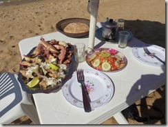 IMG_5498 (1024x768) - Copie