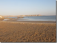 IMG_6097 (1024x768) - Copie