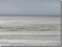 IMG_6113 (1024x768) - Copie