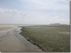 IMG_6131 (1024x768) - Copie