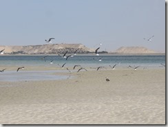 IMG_6153 (1024x768) - Copie