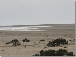 IMG_6159 (1024x768) - Copie