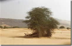 IMG_0014 (1024x768) (2)