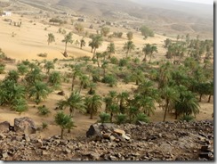 IMG_0162 (2) (1024x768)