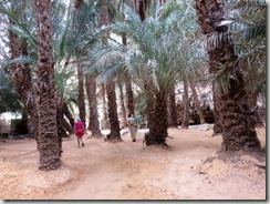 IMG_7658 (2) (1024x768)