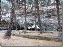 IMG_7659 (2) (1024x768)