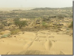 IMG_9744 (1024x768) (3)