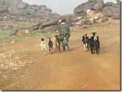 IMG_9747 (1024x768) (2)