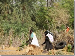 IMG_9832 (1024x768) (2)