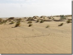 IMG_9906 (1024x768) (2)