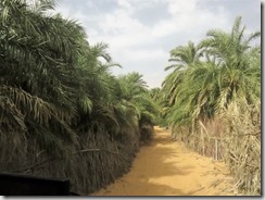 IMG_9946 (1024x768) (2)