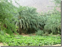 IMG_9972 (1024x768) (2)