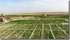 IMG_1505 (1024x576) (2)