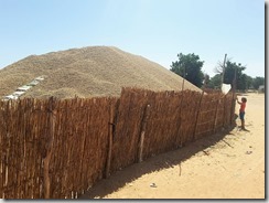 received_556714394682741