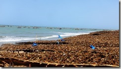 IMG_3946 (2) (1024x576)